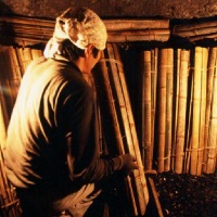 竹炭窯の中で作業する炭焼き職人